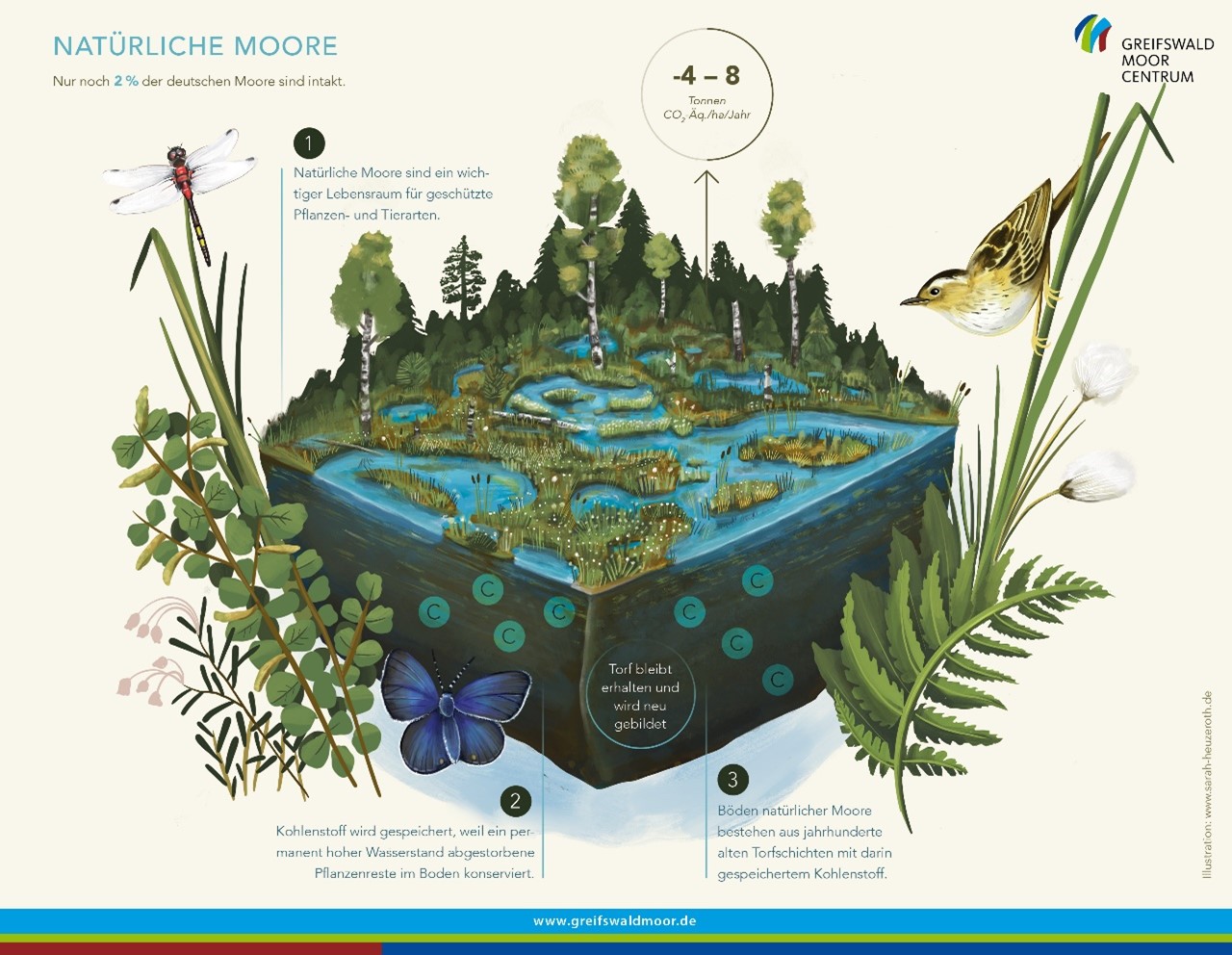 Infografik Moor
