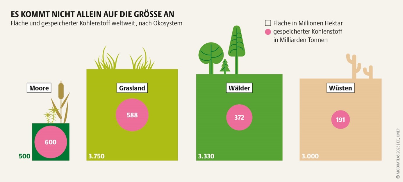 Infografik Moor