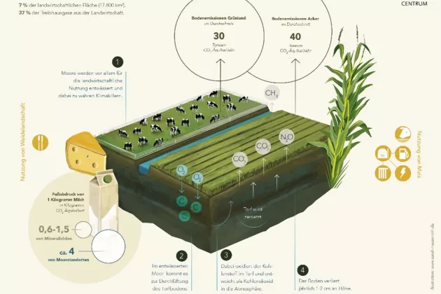 Infografik Moor 4