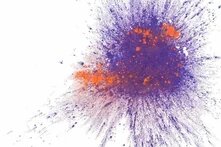 Lila-orange Farbexplosion vor weißem Hintergrund