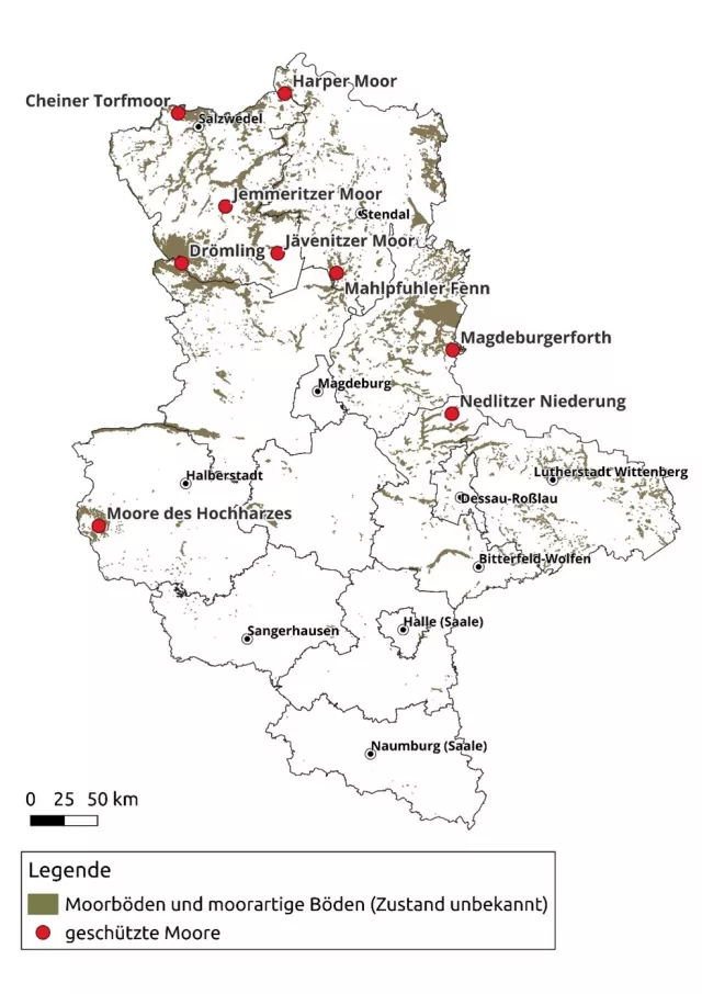 Infografik Moor 10